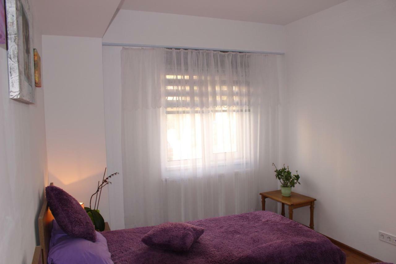 كرايوفا Still Apartament المظهر الخارجي الصورة